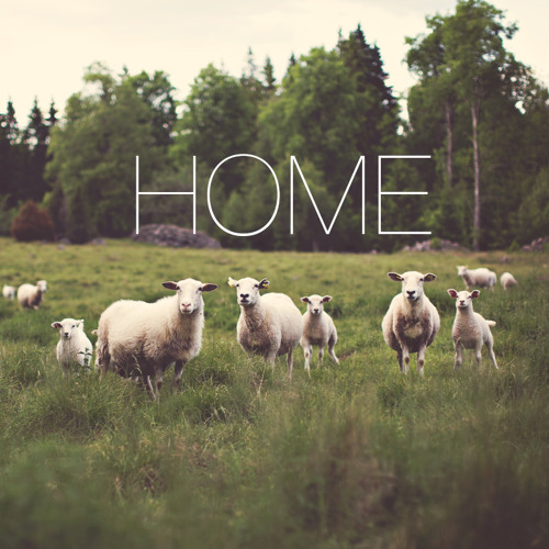 Home