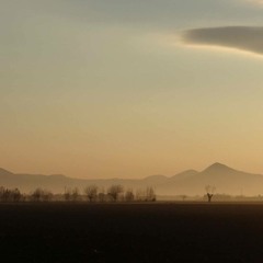 CeCoNePi - L'uomo che morì come un salmone