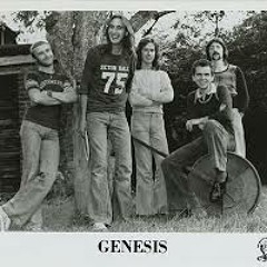 Genesis Loop