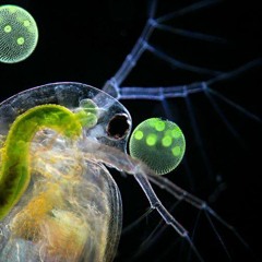 INSERT COIN # 3.1 • Today it's like this, tomorrow we'll see