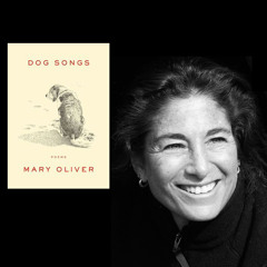 Tara Brach reads from Mary Oliver's "Dog Songs"