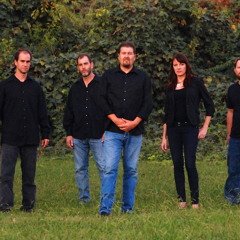 Temperance Reel /  Billy In The Low Ground