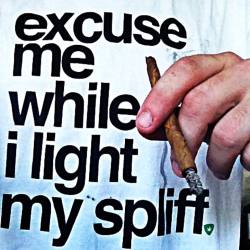 Bubblegum Kush feat. Gravity