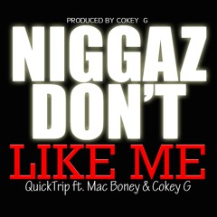 Niggaz dont like me