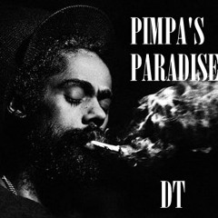 Damian Marley - Pimpa's Paradise feat. Stephen Marley ( DOUBLETROUBLE MIX )