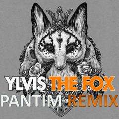 Ylvis - The Fox (PanTim Remix)