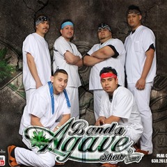 Pudrete Agave Show De Durango