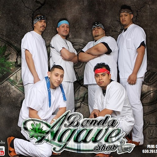 Pudrete Agave Show De Durango