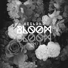 The Paper Kites - Bloom (AXELRAD Remix)