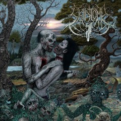 Skin Tomb - Slasher