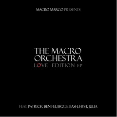 The Macro Orchestra - Cover Me feat Julia Lenti