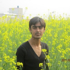 Jo chale tu jaan se guzar gaye...