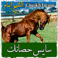 سايس حصانك على القنا وتعالى ... الشيخ أمام