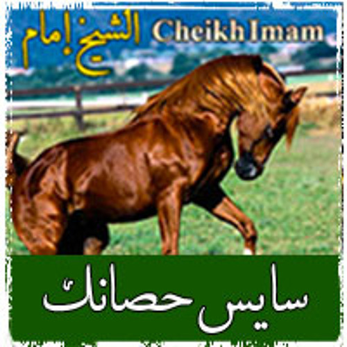 سايس حصانك على القنا وتعالى ... الشيخ أمام