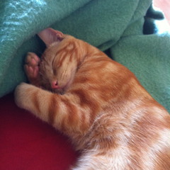 Rice Rain - Cashmere Cat (Screwed Edit)