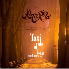 Taxi Ride In A Foggy Bucharest