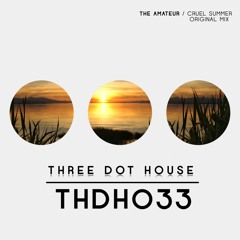 THDH033 : The Amateur - Cruel Summer (Original Mix) "OUT NOW"
