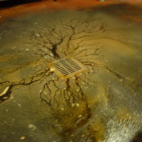 Behind the Butcher Shop: Dumpster Funk