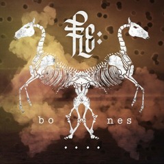 Bones by Flechette