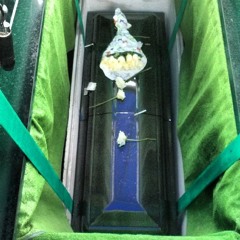 AMP - JUNGLE I ROAM (RIP ZOE)