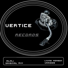 MLMJ  - LivIng Reason (Original Mix)