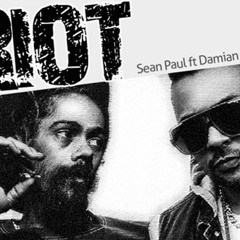 Dj Formy - Sean Paul ft Damian Marley - Riot (Tekno Remix ft MNT)