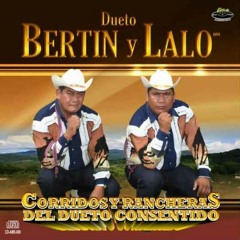 Bertin Y Lalo- Un Dia Con Otro