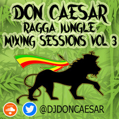 Ragga Jungle Mixing Sessions 3