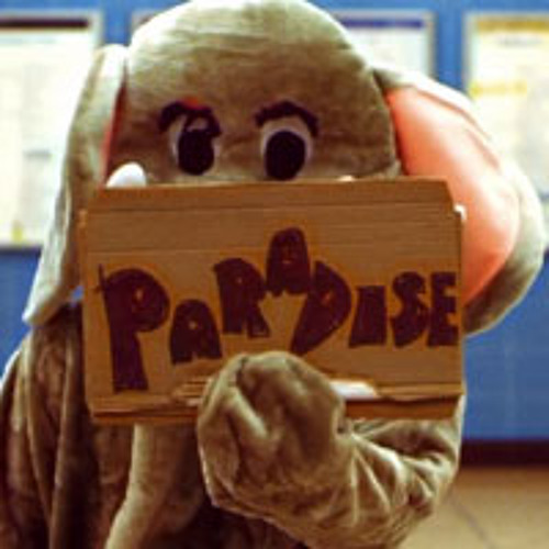 coldplay paradise kasbo remix coldplay paradise kasbo remix