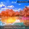 Aurelien Stireg - Qawwali Adventure (snippet - Preview)