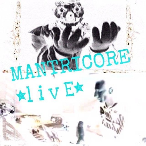 MaNtRiCoRe Vs.Fiktiv Live@Mantricore b.day.16.12.2013
