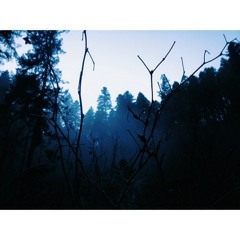 Josephine Brandi Carlile cover