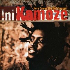Here Comes The Hotstepper (DJ Demansion Bootleg)