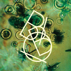Bibio - Dye The Water Green (Live Session)