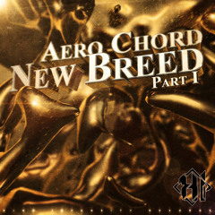 Warrior of the Night by Aero Chord