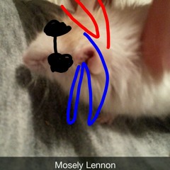 Mosley's Perspective