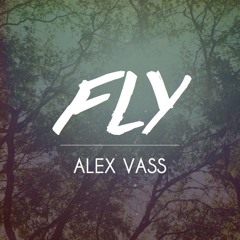 Fly (Original Song)