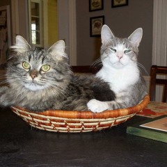 Radio Free Stanstead | February 24 2014 | Proud of our roots