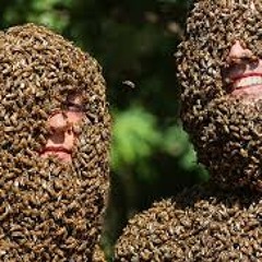 Meu vô e as abelhas #22