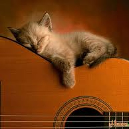 Aarente by Job & Neha Jerry Music store