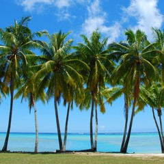 Tropical House