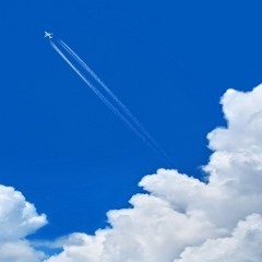to Firmament