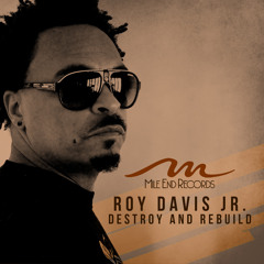 Roy Davis Jr. - My Nation ft. Terry Dexter