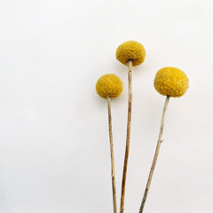 04 Fear (What do you fear  Mix) - Hiroko Ai Is Dead