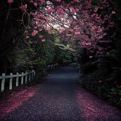 من الأرشيف - منذ فارقت الديار 2009