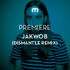 Premiere: Jakwob 'Somebody New' (Dismantle remix)