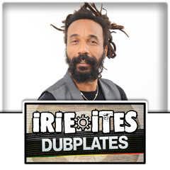 Prezident Brown - Irie Ites Selection [ IRIE ITES DUBPLATE ]