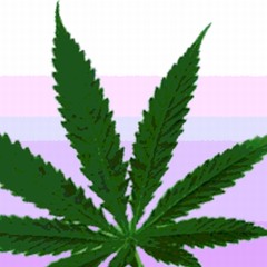 Maicio- Stoner Freestyle Feat. M-O-E