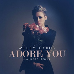 Adore You (Laibert Remix)