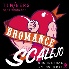 Tim Berg - Seek Bromance (Scalejo Orchestral Intro Edit)